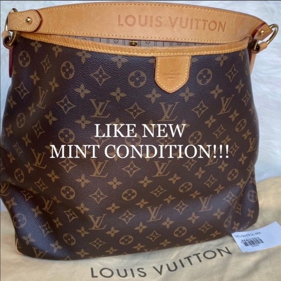 Louis Vuitton Handbags - 💎✨MINT CONDITION✨💎 Shoulder bag